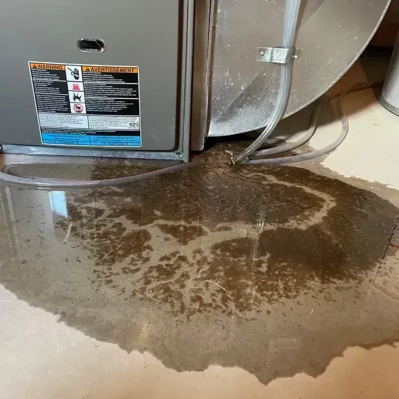 Appliance Leak Cleanup in Hillsboro, IL